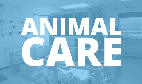 Animal Care