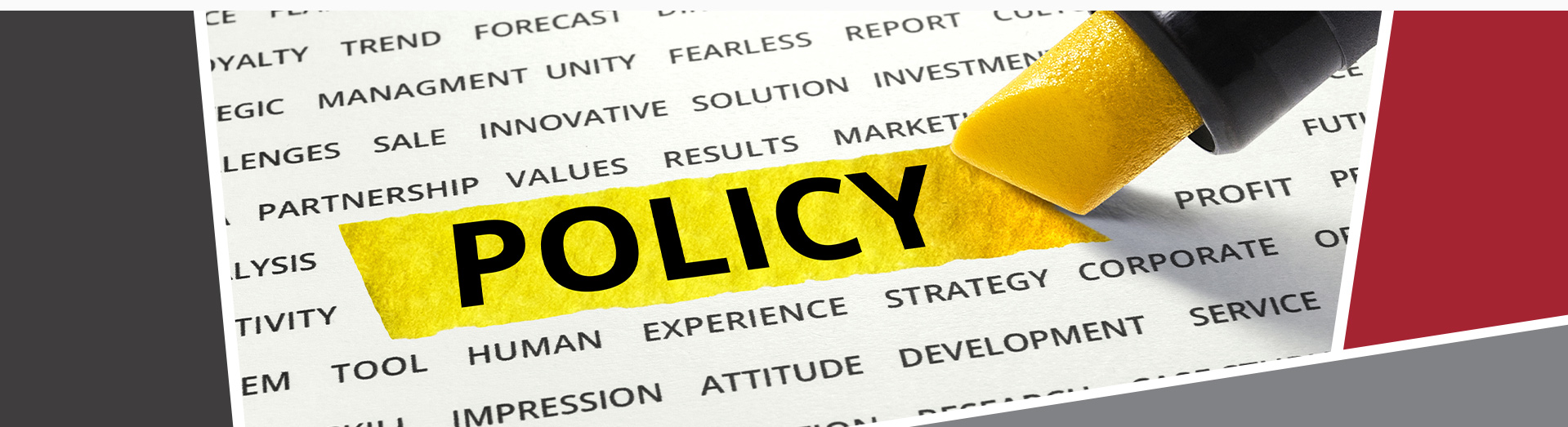 A policy document being highlighted