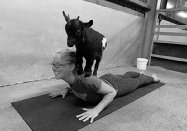 An image of Polly Wiltshire