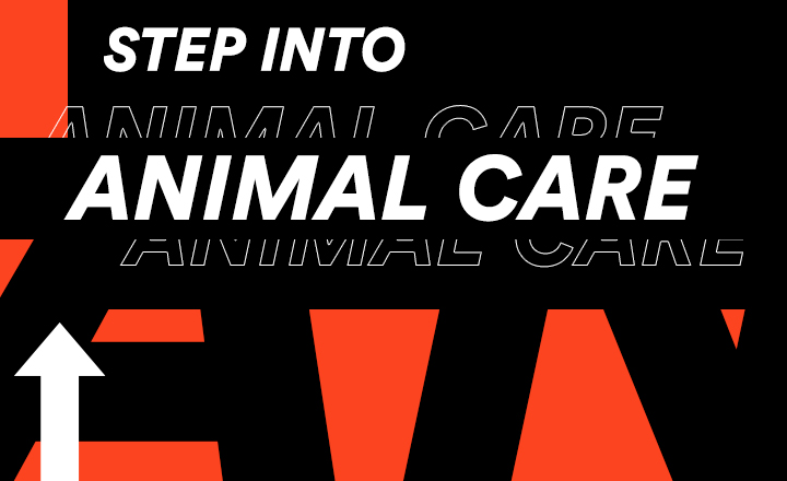 Graphic saying step into animal care