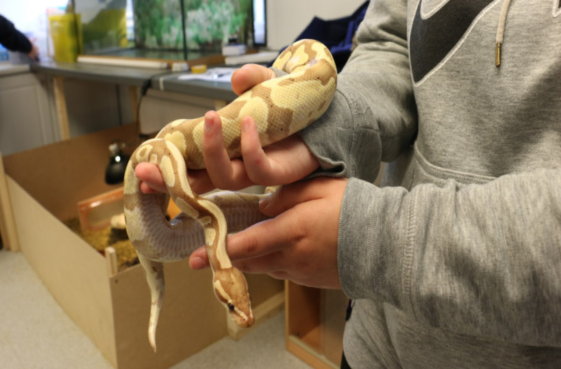 Animal care students will need to be confident, hands-on learners – ready to deal with a variety of new tasks, daily.