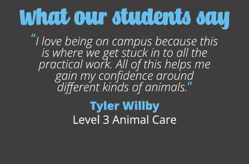 I love being on campus because this is where we get stuck in to all the practical work. All of this helps me gain my confidence around different kinds of animals.