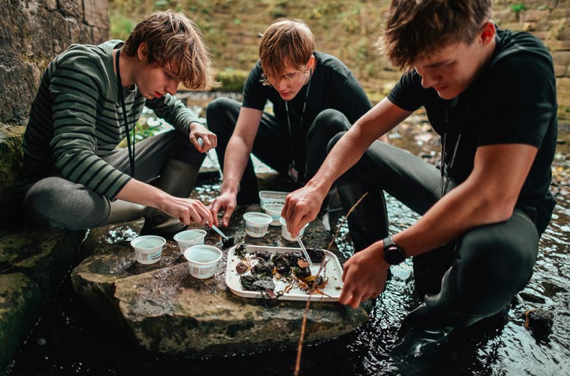 Students surveying freshwater invertebrates. 