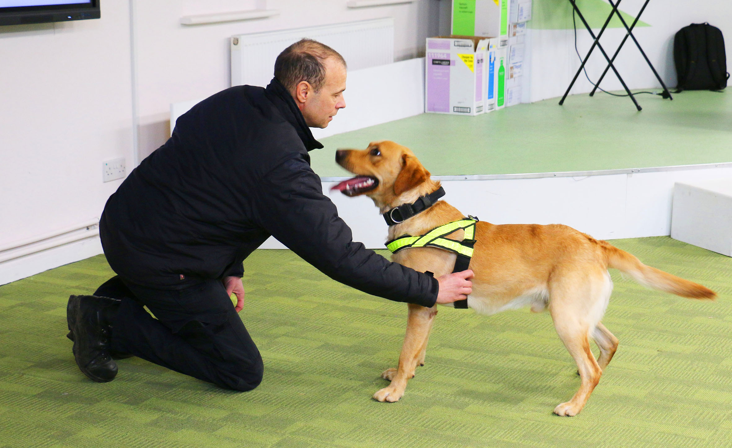 Dean sets Niko off on a search