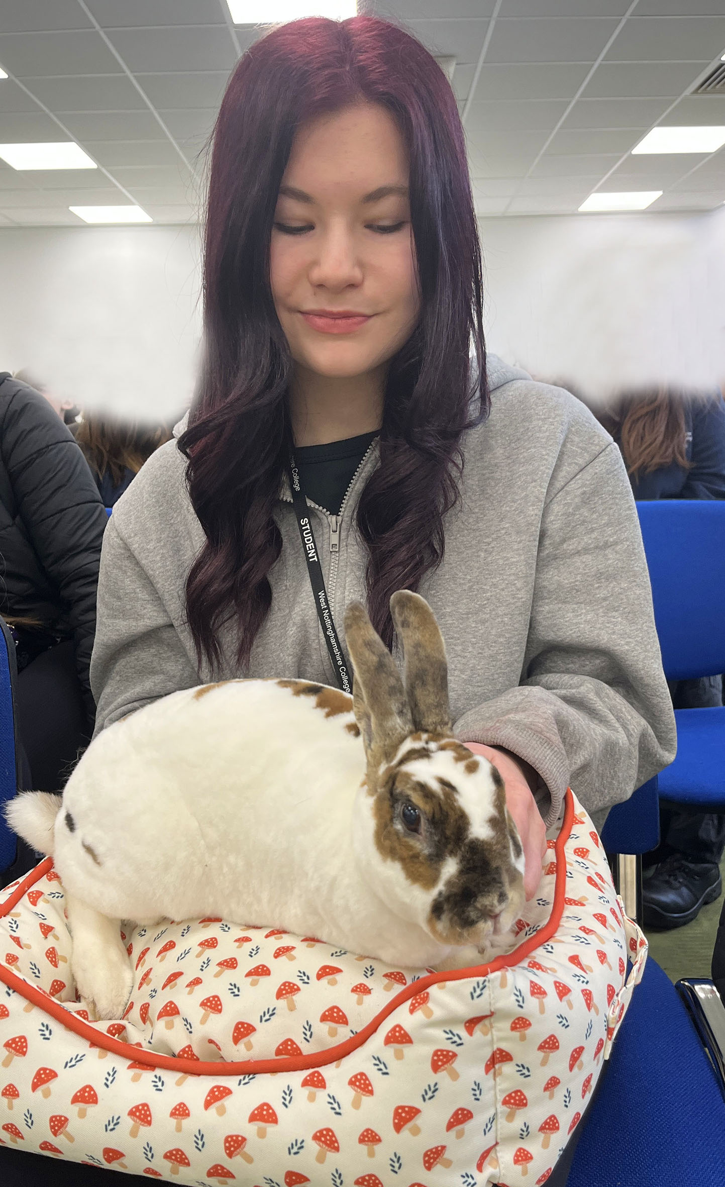 Intermediate Certificate in Animal Care student Brooke Fielden with a rabbit