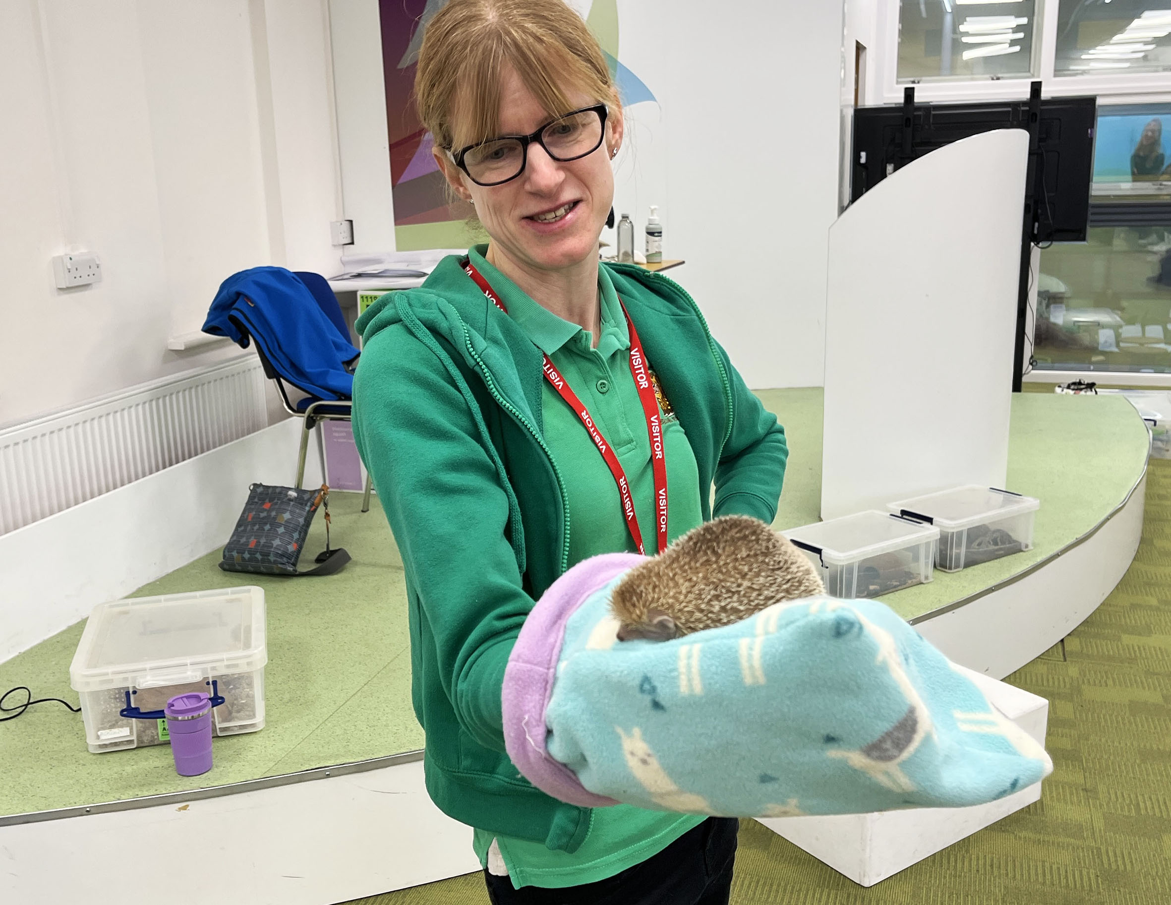 Kristen let students handle the lesser hedgehog tenrec