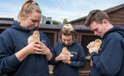 Image of three students holding small animals