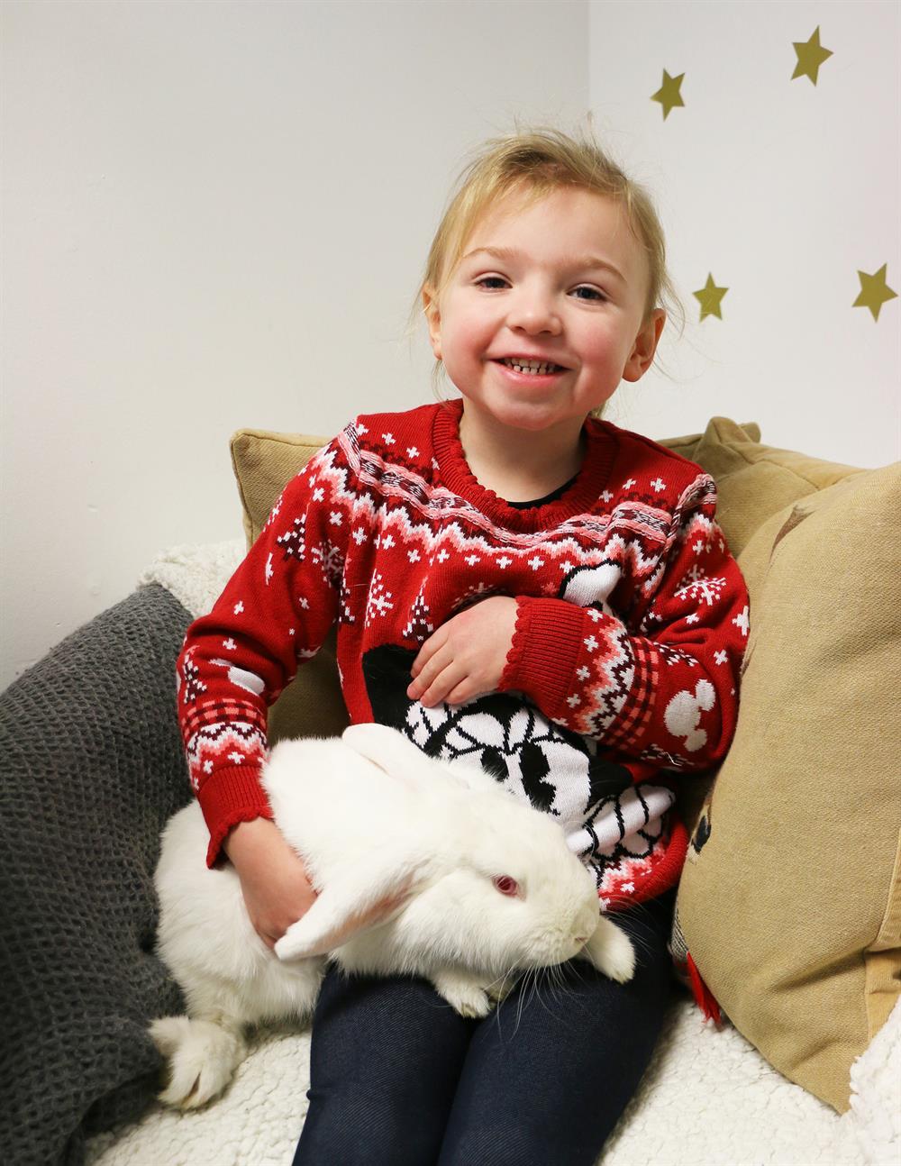 Seasons' greetings and animal meetings - West Notts College