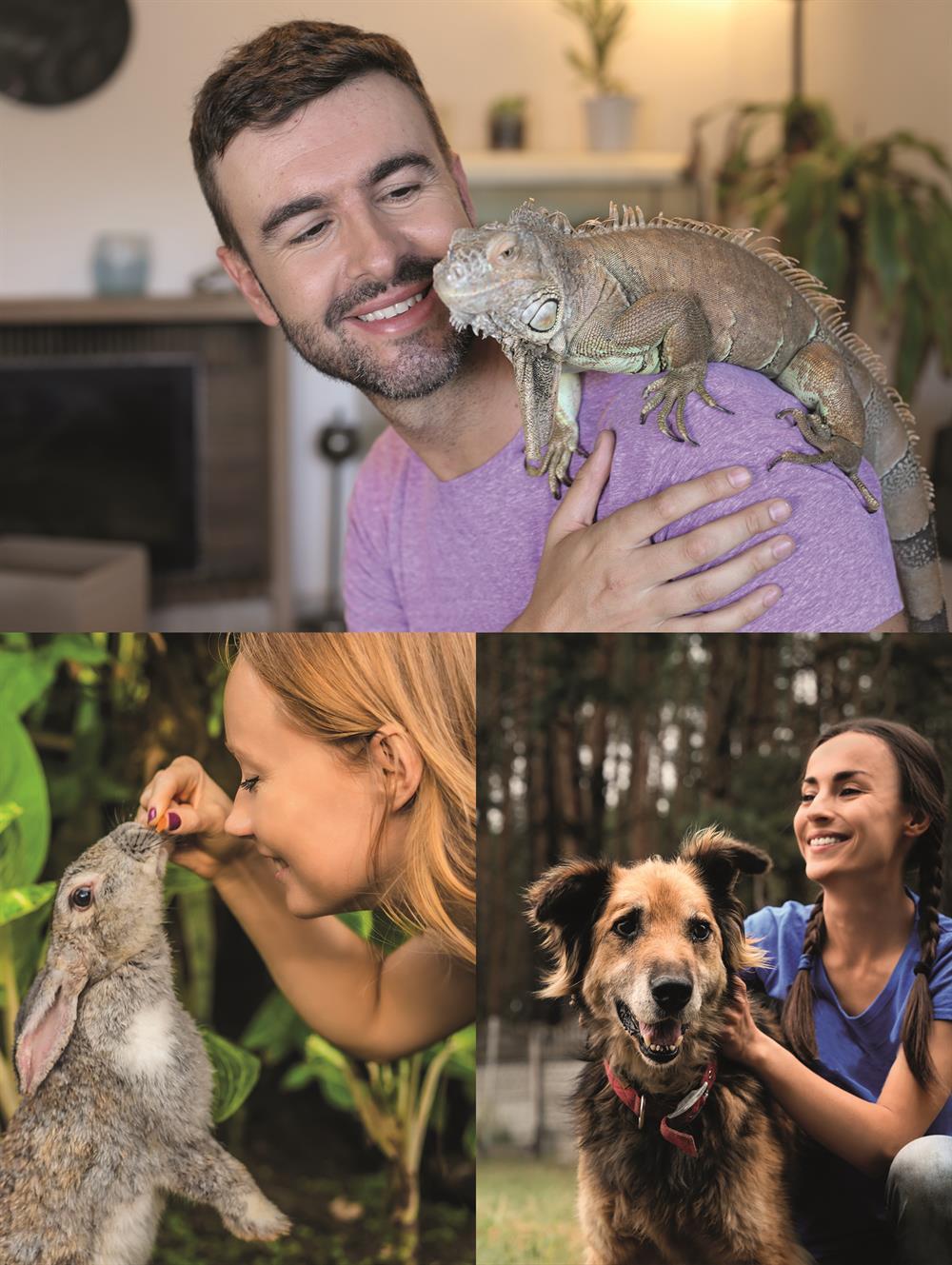 A range of one-day animal care courses are coming soon