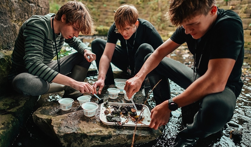 Unique learning opportunities await.