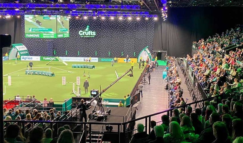 Level 1 Animal Care students attended Crufts 2024 at Birmingham’s NEC, they attended the Toy and Utility Day which covers smaller bred dogs and those bred for specific purposes.