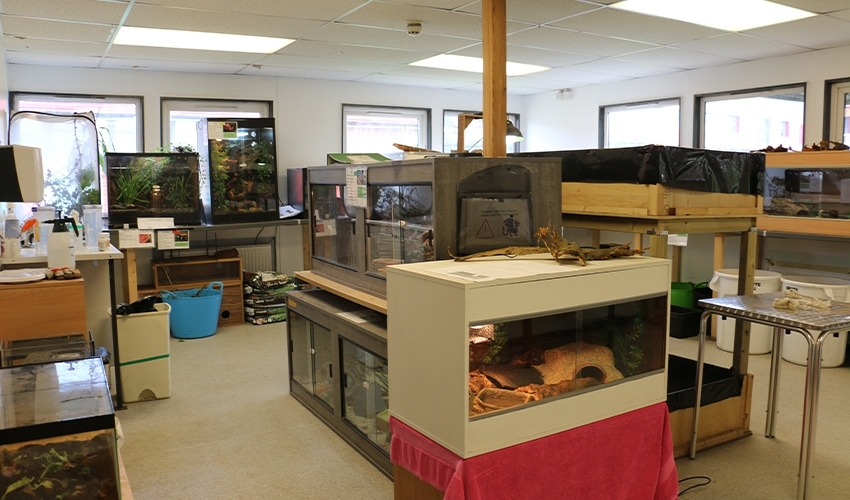 You will learn in a dedicated animal care unit based at our Derby Road campus.