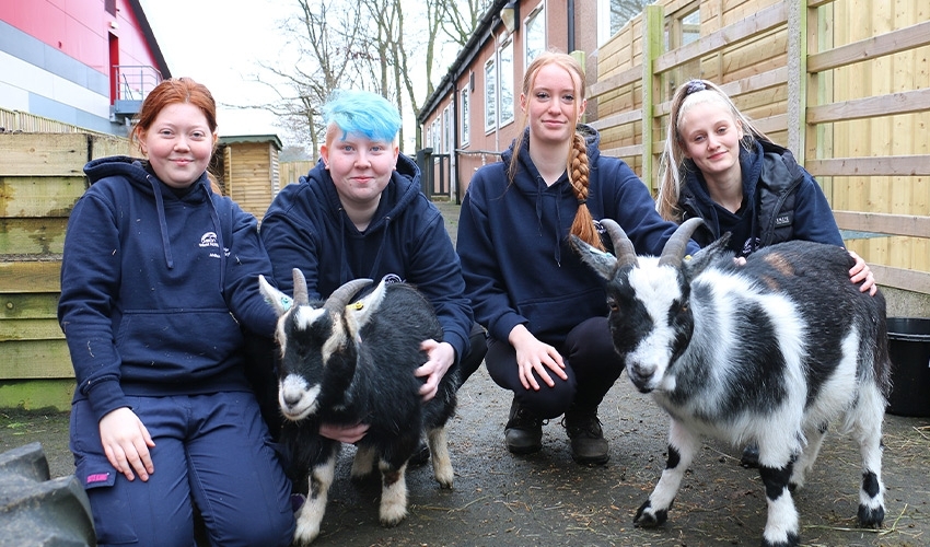 Two new kids at college are settling into their environment well, meet Jerry and Galaxy our male pygmy goats.