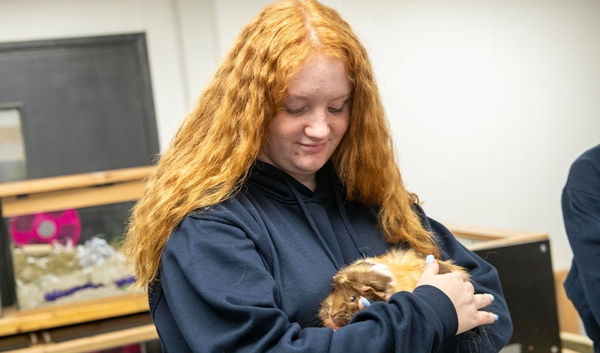 Get hands-on experience in our animal care unit, learning how to handle and care for different species.