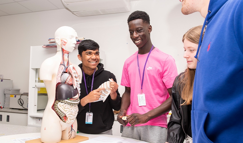 Learn about anatomy through practical lessons with our fantastic facilities and equipment.