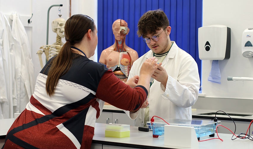 Expert teachers will guide you through practical work.