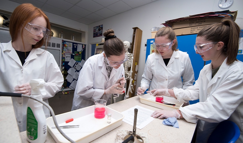 Complete practical sessions with friends, blending fun and learning together.